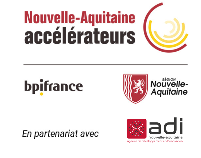 Accel-NA Logo